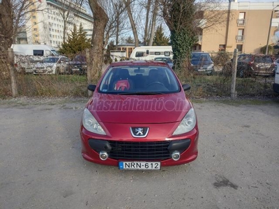 PEUGEOT 307 1.6 Symbole