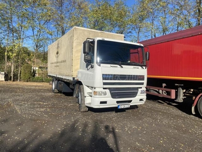 DAF CF 75 310