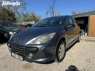 Peugeot 307 1.4 Symbole