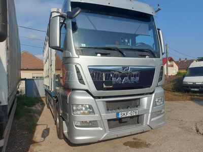 MAN TGX