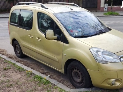 Citroen Berlingo (Peugot Partner)