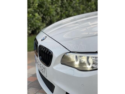 BMW 520d xDrive (Automata)