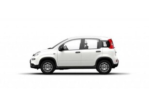 Eladó Fiat Panda