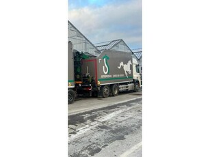 DAF Cf 460 daru