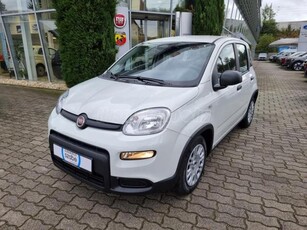 FIAT PANDA 1.0 BSG 70LE | Készleten