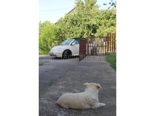 VOLKSWAGEN BEETLE Cabrio