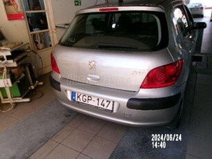 PEUGEOT 307 1.4 Symbole