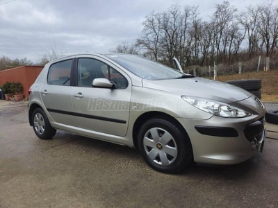 PEUGEOT 307 1.4 Symbole