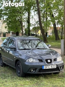 Seat ibiza 1.9pdtdi 2006