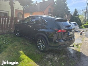 Lexus nx300 autó