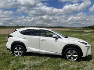 LEXUS NX 300h Luxury Panoramic CVT