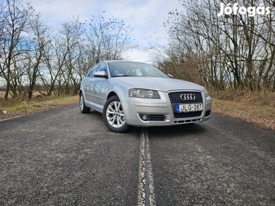 Audi A3 8P 2.0 PDTDI 140le DSG