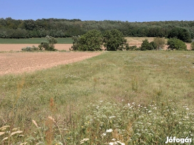 Az Alpokalján, Bucsuban panorámás telek eladó