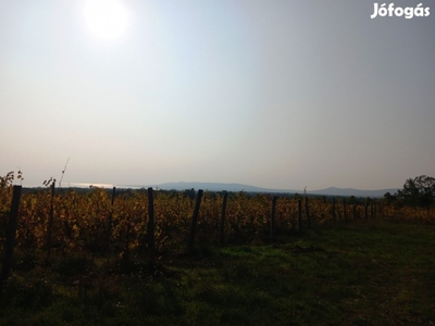 Eladó Mezőgazdasági, Dörgicse 80.000.000 Ft