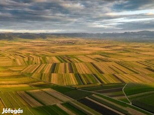 Eladó 6.51 ha szántó, Hajdúszoboszló