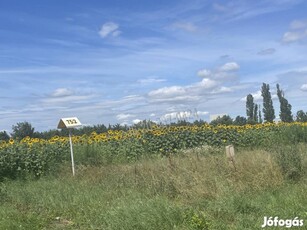 Eladó mezőgazdasági, Székesfehérvár Déli ipari zóna, 59000000 Ft 24_rd