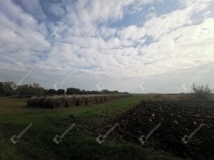 Eladó mezogazdasagi ingatlan Alsópáhok