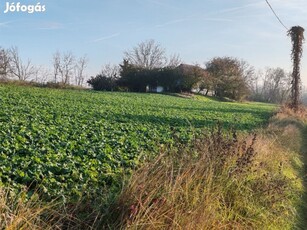 Eladó Tanya Csongrád Nagyrét 9.592 m2 Terület és 60 Főépület!