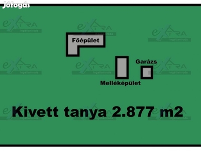 Domaszéken, közel a Zöldfás Templomhoz, Tanya, épületekkel Eladó!