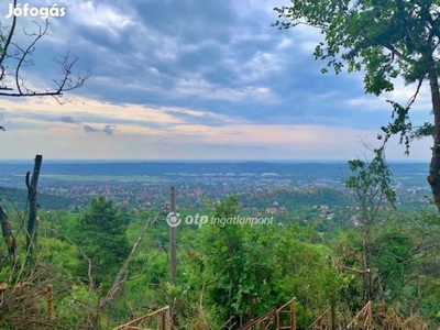 Eladó 100 nm-es Üdülő, nyaraló Budaörs Frankhegy