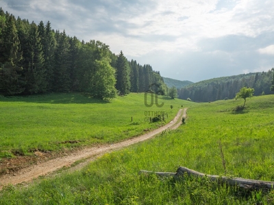 Külterület, Debrecen, ingatlan, mezőgazd. ingatlan, 5270 m2, 8.500.000 Ft