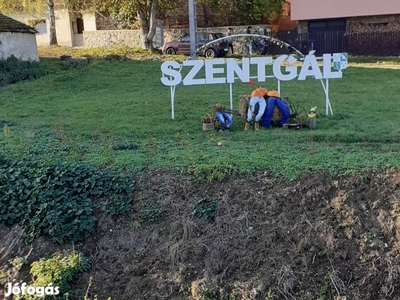 Remek lehetőség Szentgálon!