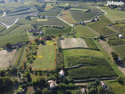 Somló hegyoldalon 0,5ha nagy méretű szőlős 2db Présház Pincével eladó