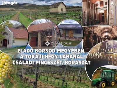 Tokaji hegy lábánál ... Családi Pincészet / Borászat Eladó!