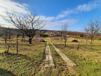 Zalaegerszeg, ingatlan, mezőgazd. ingatlan, 8910 m2, 28.000.000 Ft