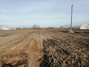 Eladó mezogazdasagi ingatlan Szeged, Dorozsma, Bordányi út