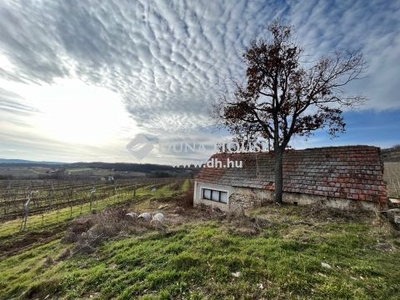 Eladó Ház, Veszprém megye Balatonszőlős Kisgella dűlő