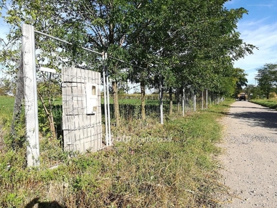 Békéscsaba, ingatlan, mezőgazd. ingatlan, 6964 m2, 9.900.000 Ft