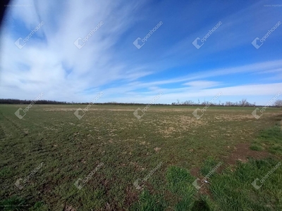 Nagykörű, ingatlan, mezőgazd. ingatlan, 10322 m2, 25.000.000 Ft