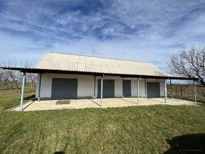 Tüskevár, Kaposvár, ingatlan, mezőgazd. ingatlan, 80 m2, 39.900.000 Ft