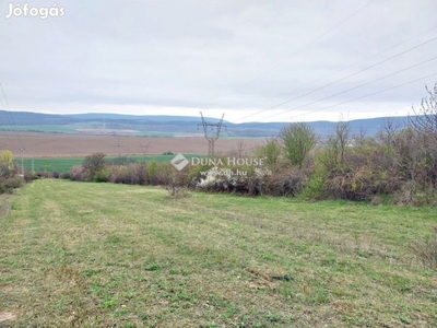 Héregen, az erdő szomszédságában,3991 m2-es telek eladó.