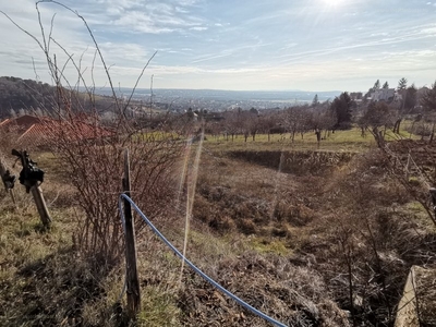 Mecsekoldal-Belváros, Pécs, ingatlan, telek, 11.100.000 Ft