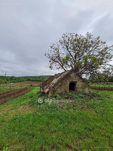 Balatoncsicsó, ingatlan, mezőgazd. ingatlan, 669 m2, 8.900.000 Ft