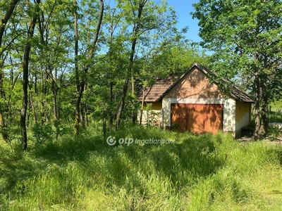 Cegléd, ingatlan, mezőgazd. ingatlan, 50000 m2, 15.900.000 Ft