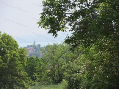 Eladó mezőgazdasági ingatlan - Balatoncsicsó