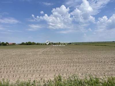 Pázmánd, ingatlan, telek, 37.070.000 Ft