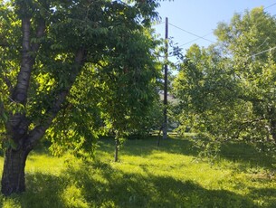 Eladó telek Székesfehérvár