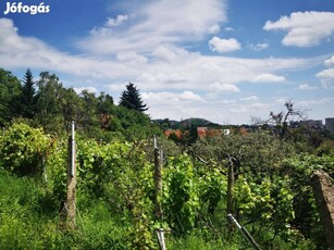 Budaörsön Odvas-hegyre panorámás 1831 nm-es építési telek Eladó