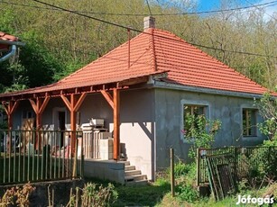 Eladó családi ház Tolmács erdő közeli utcájában