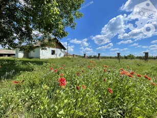 Kecskemét, ingatlan, ház, 49 m2, 9.900.000 Ft