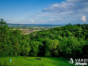 Lentihegyen, csendes, panorámás helyen házikó eladó!