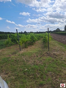 Eladó egyéb telek - Csikvánd, Győr-Moson-Sopron megye