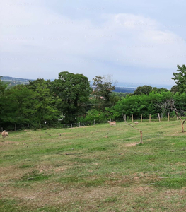 Eladó üdülőövezeti telek - Kőröshegy, Kaposvári utca