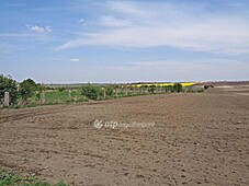 Sárbogárd, ingatlan, telek, 129.000.000 Ft