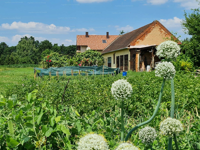 Eladó családi ház - Gasztony, Fő utca