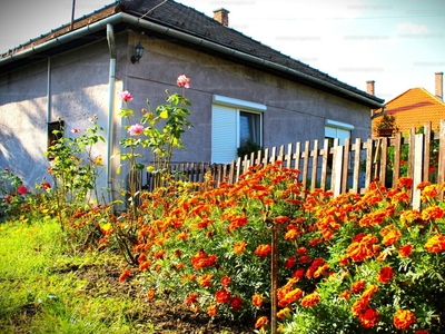 Eladó családi ház - Szárliget, Komárom-Esztergom megye